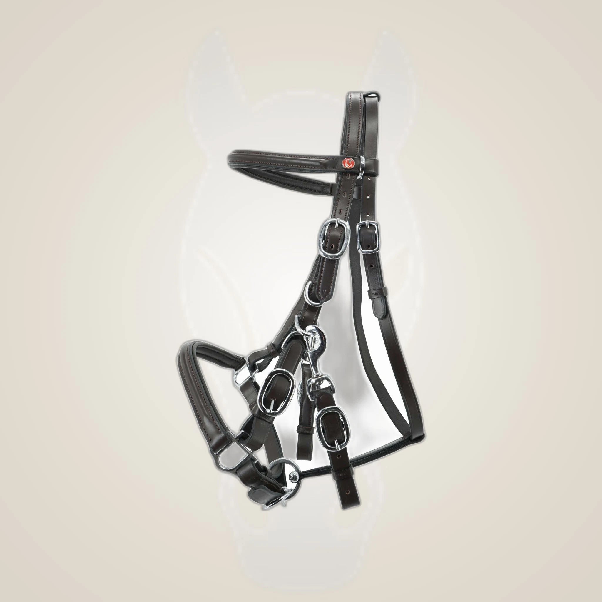 Kieffer Walking Bridle Kieffer’s Trail on One-Eyed Equine branded background