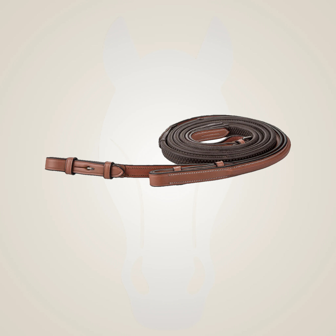 Reins