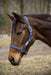 Lettia EquiFine Halter - Wine - Wine
