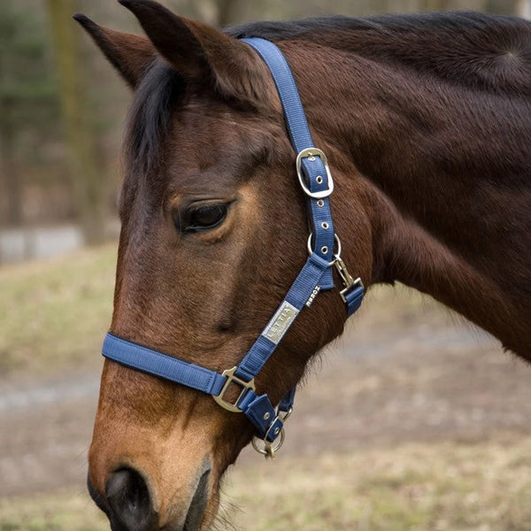 Lettia EquiFine Halter - Wine