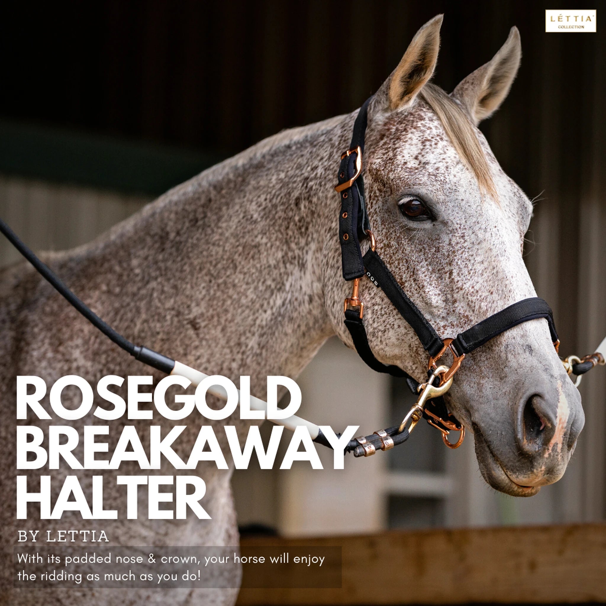 Lettia Rosegold Padded Leather Breakaway Halter