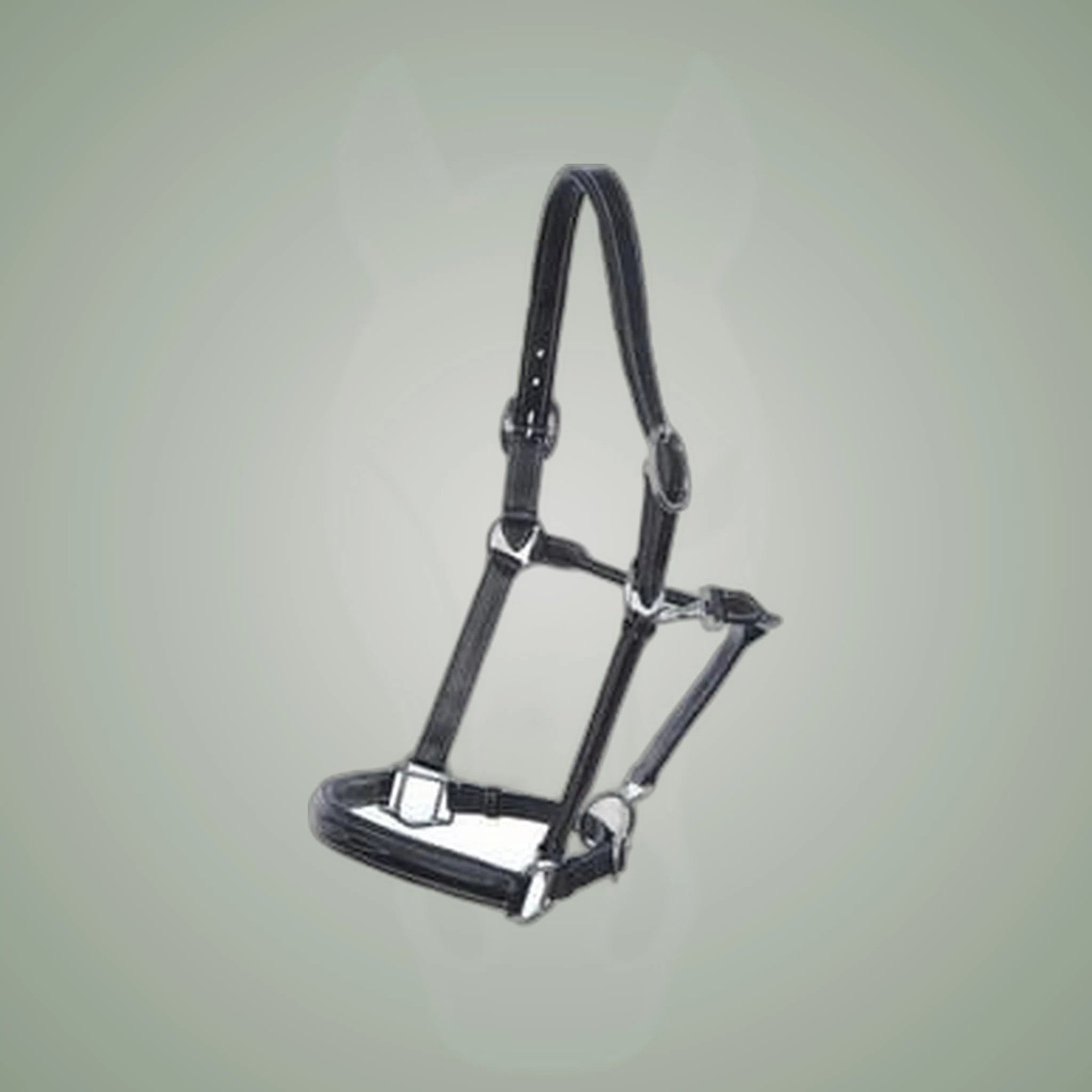 Hilbar Padded Leather Halter - Fancy Stitching on One-Eyed Equine branded background