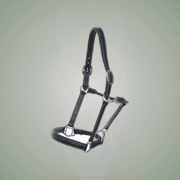 Hilbar Padded Leather Halter - Fancy Stitching