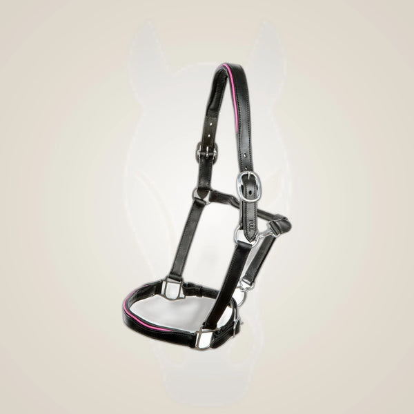 Hilbar Padded Leather Halter - Black with Pink Piping
