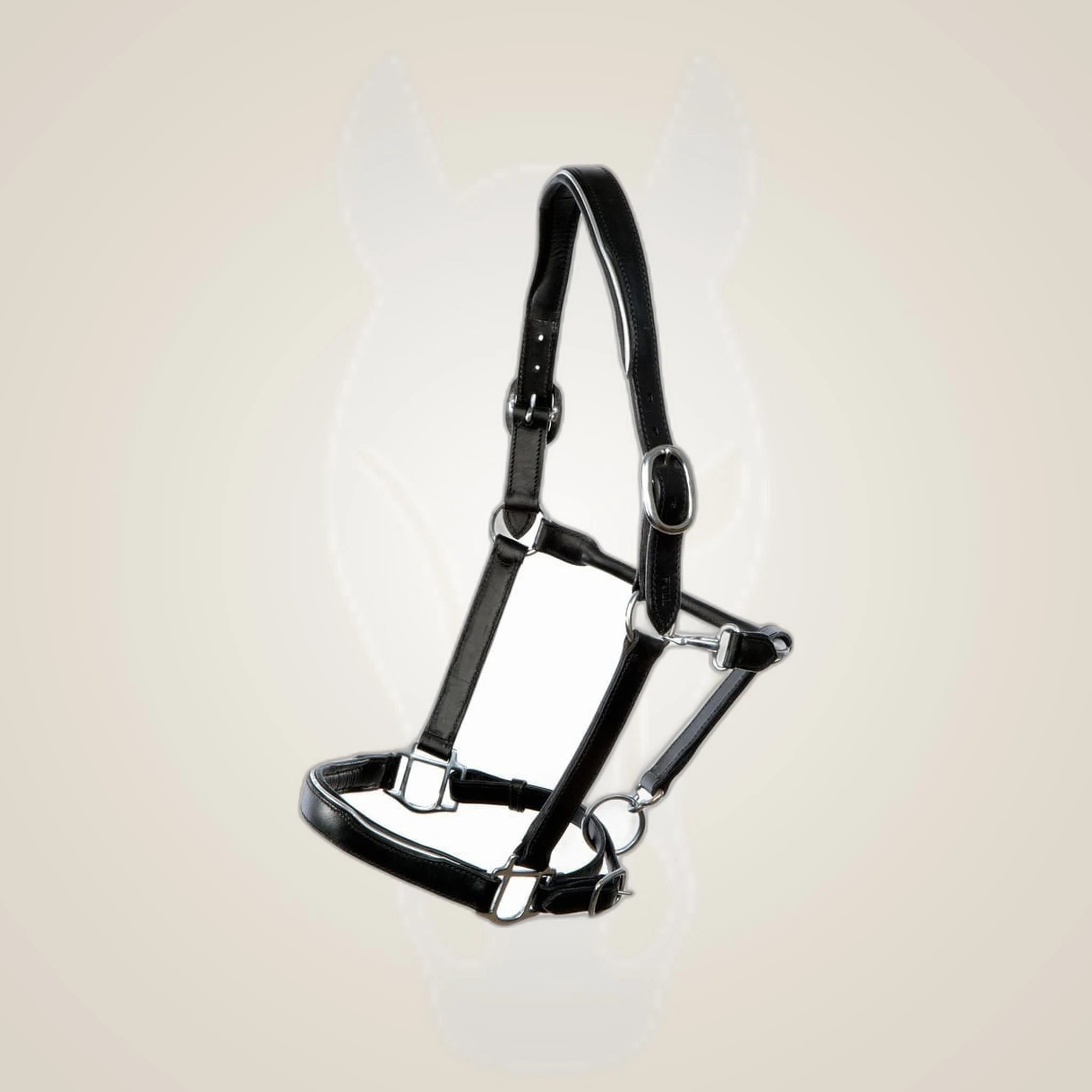 Hilbar Padded Leather Halter - Black with Silver Piping on One-Eyed Equine branded background