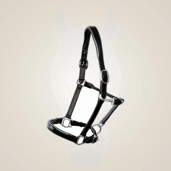 Hilbar Padded Leather Halter - Black with Silver Piping
