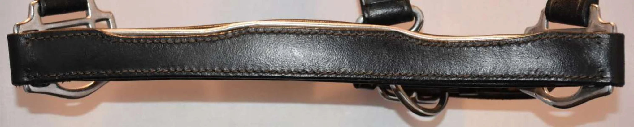Hilbar Padded Leather Halter - Black with Silver Piping product photo