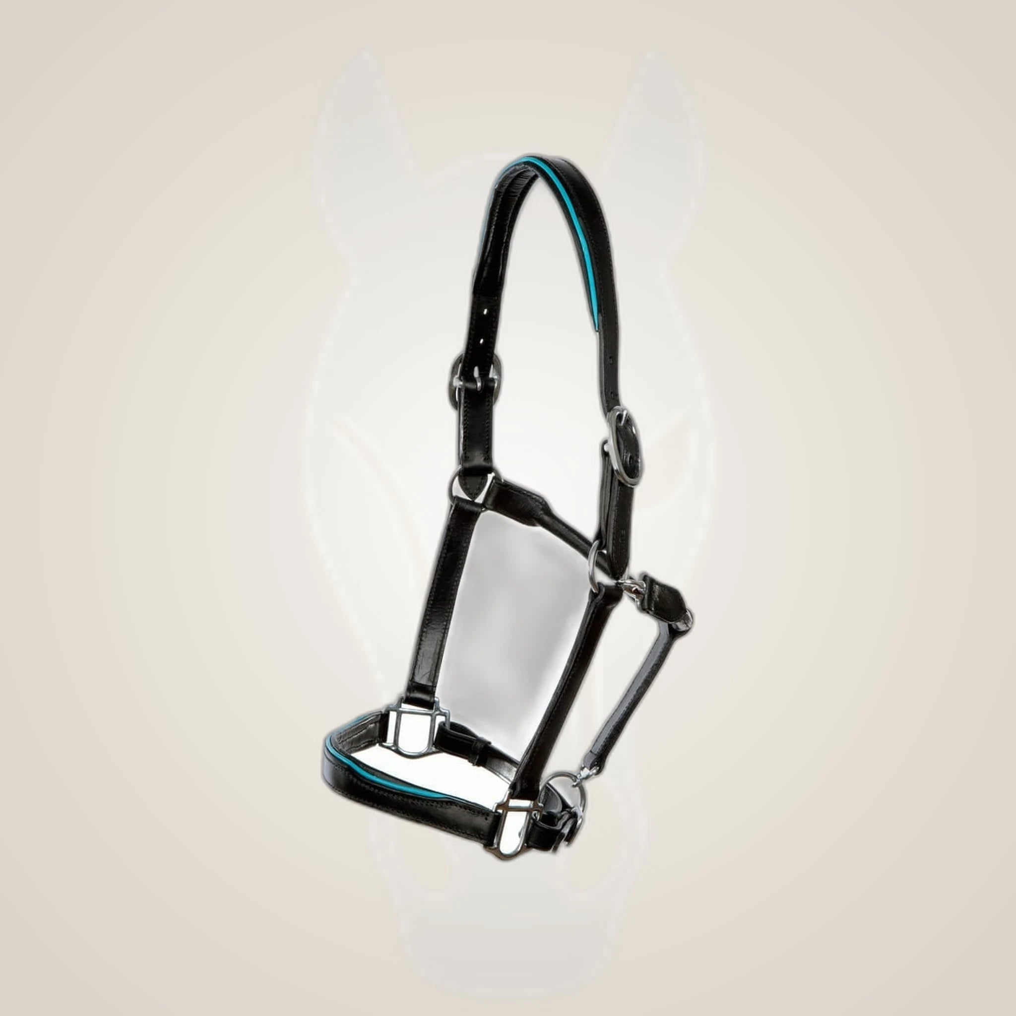 Hilbar Padded Leather Halter - Black with Turquoise Piping on One-Eyed Equine branded background