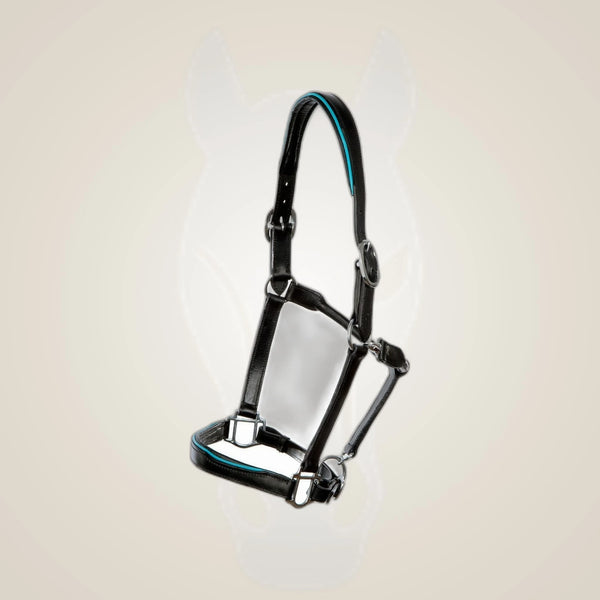 Hilbar Padded Leather Halter - Black with Turquoise Piping