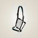 Hilbar Padded Leather Halter - Black with Turquoise Piping on One-Eyed Equine branded background