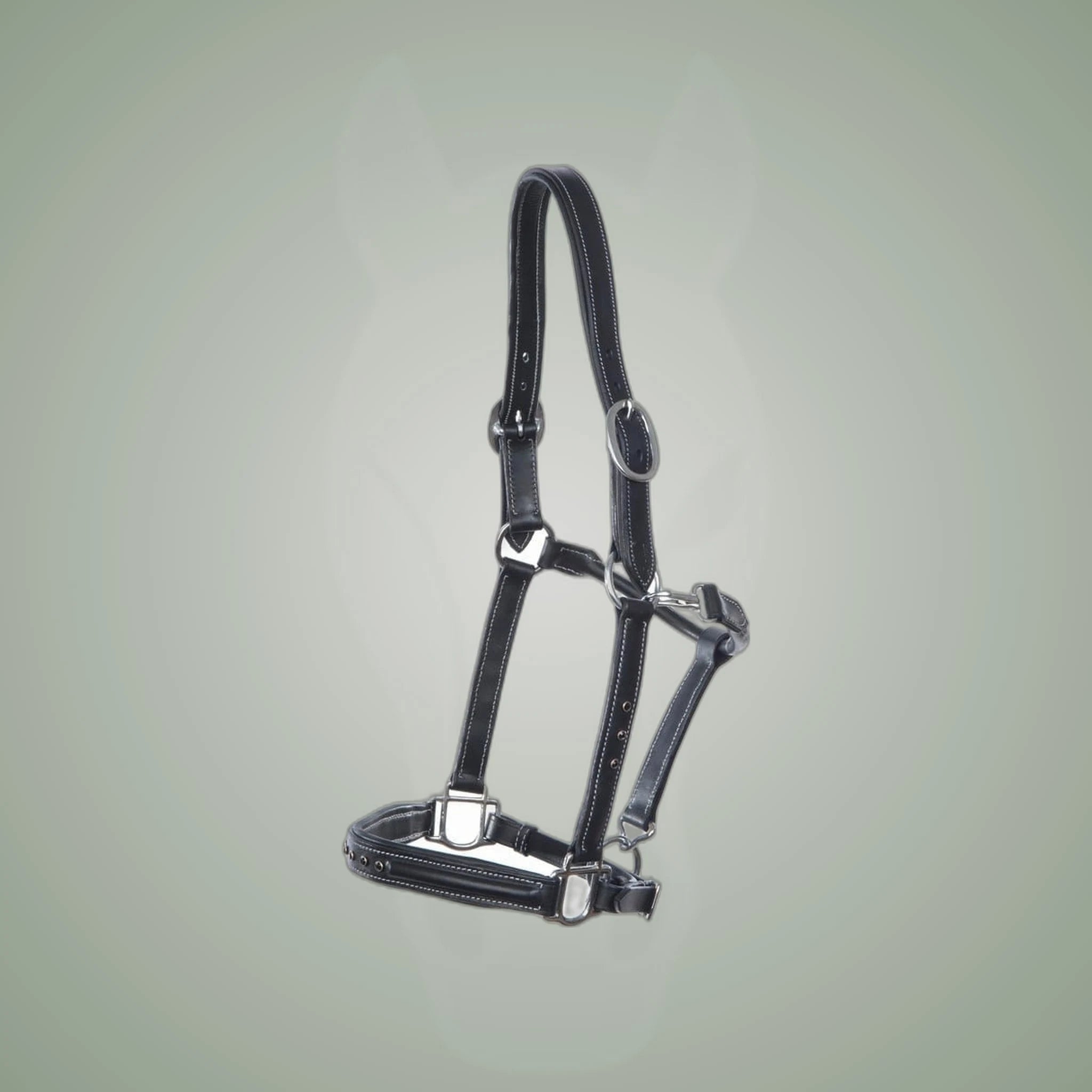 Hilbar Padded Leather Halter - Black with Black Diamonds on One-Eyed Equine branded background