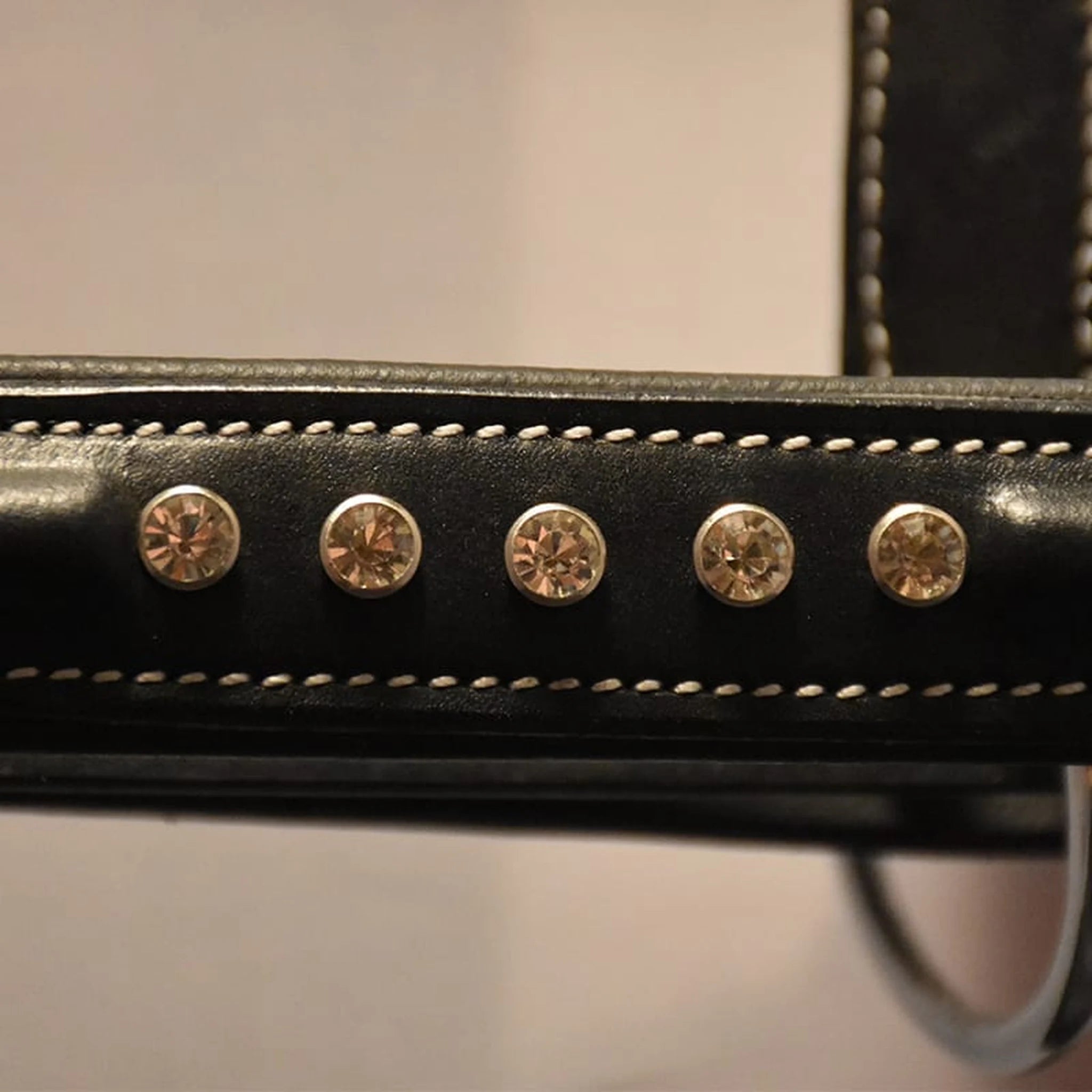 Hilbar Padded Leather Halter - Black with White Diamonds product photo