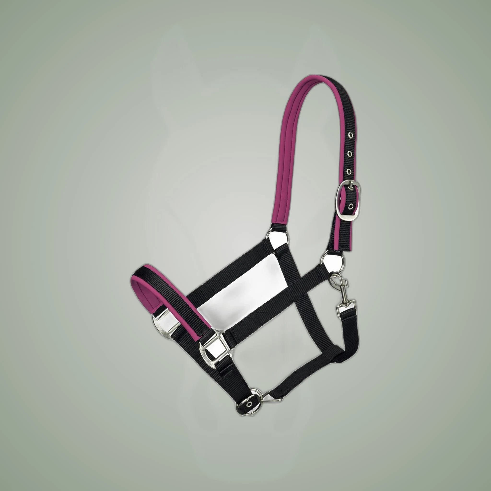Tough1 Neoprene Padded Nylon Halter on One-Eyed Equine branded background