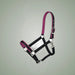 Tough1 Neoprene Padded Nylon Halter on One-Eyed Equine branded background