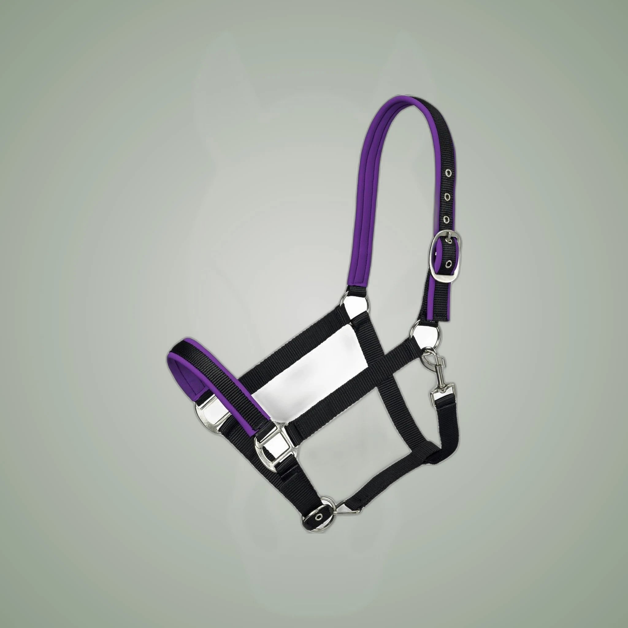 Tough1 Neoprene Padded Nylon Halter on One-Eyed Equine branded background