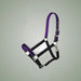 Tough1 Neoprene Padded Nylon Halter on One-Eyed Equine branded background