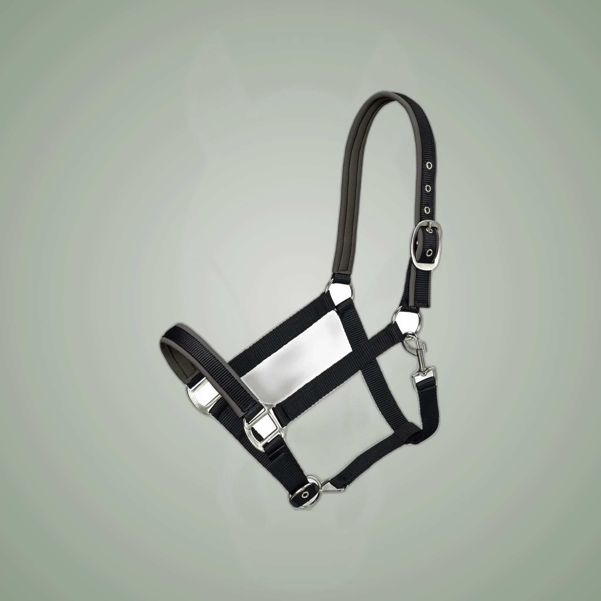 Tough1 Neoprene Padded Nylon Halter on One-Eyed Equine branded background