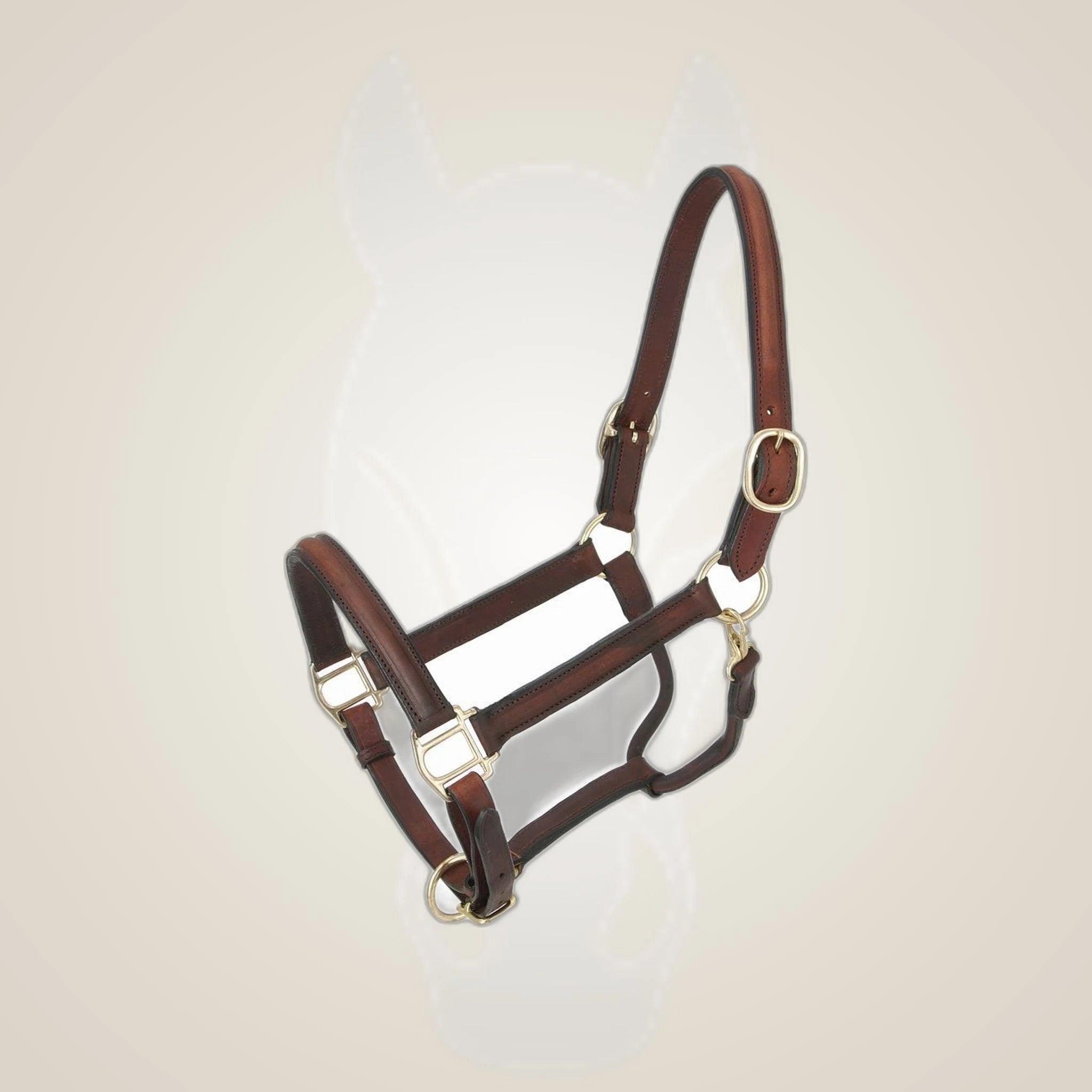Tough1 Royal King Raised Leather Halter on One-Eyed Equine branded background