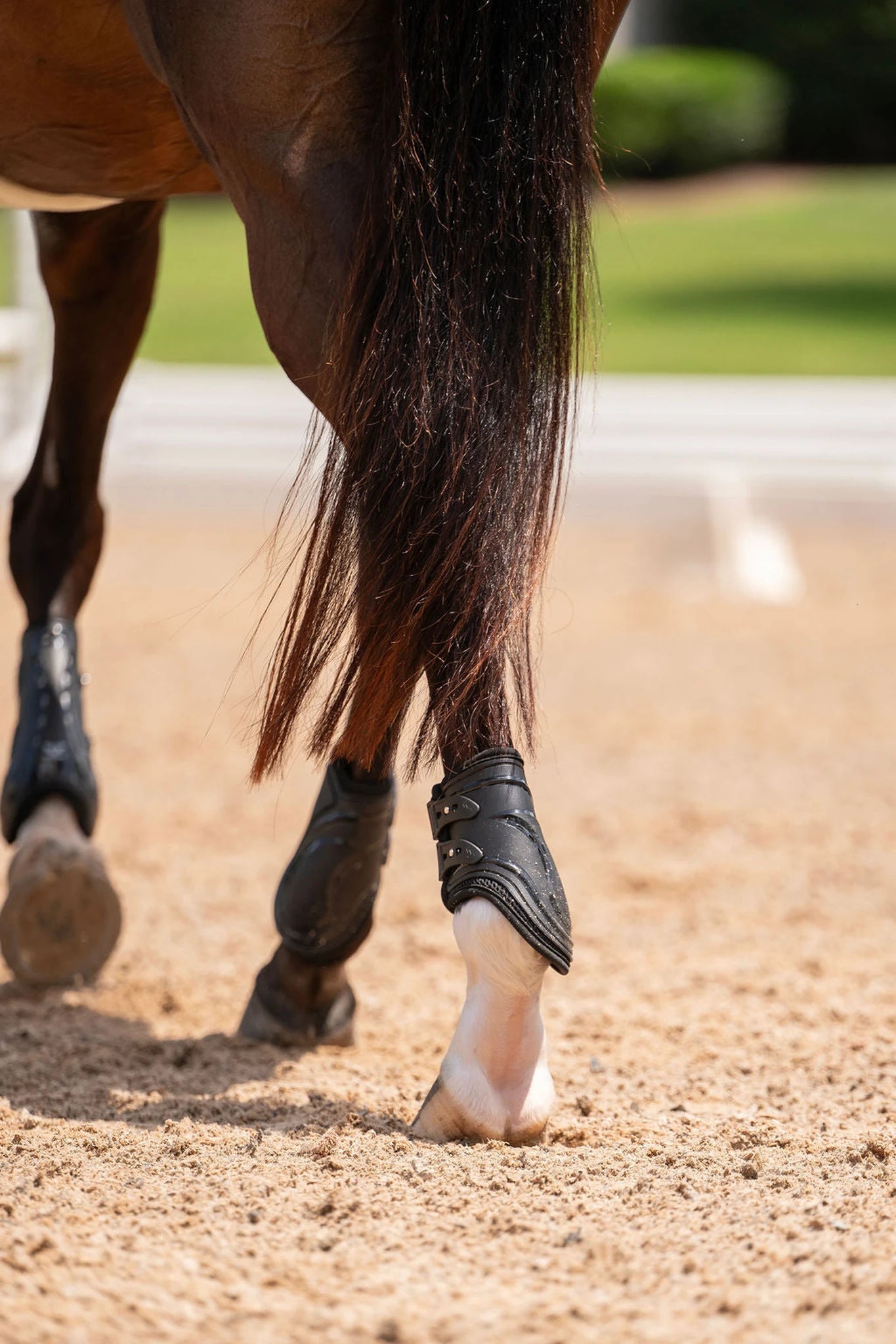 TuffRider Airflow Iron Man Fetlock Boots - Black