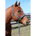 TuffRider Nylon Breakaway Halter & Lead Rope Set - Navy/Neon Green