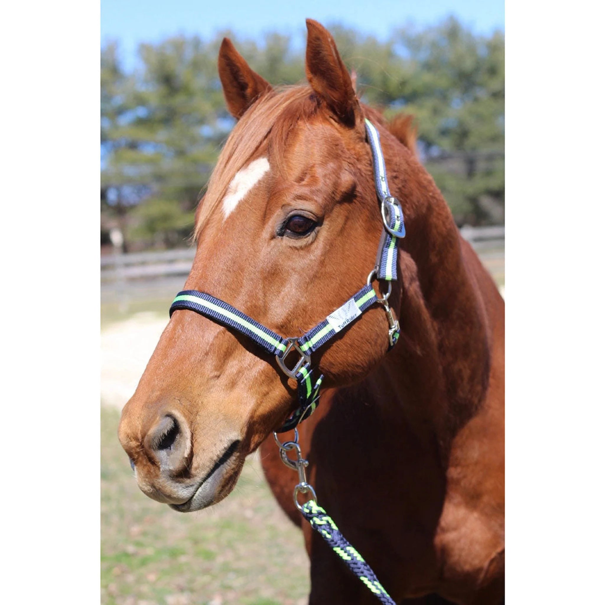 TuffRider Nylon Breakaway Halter & Lead Rope Set