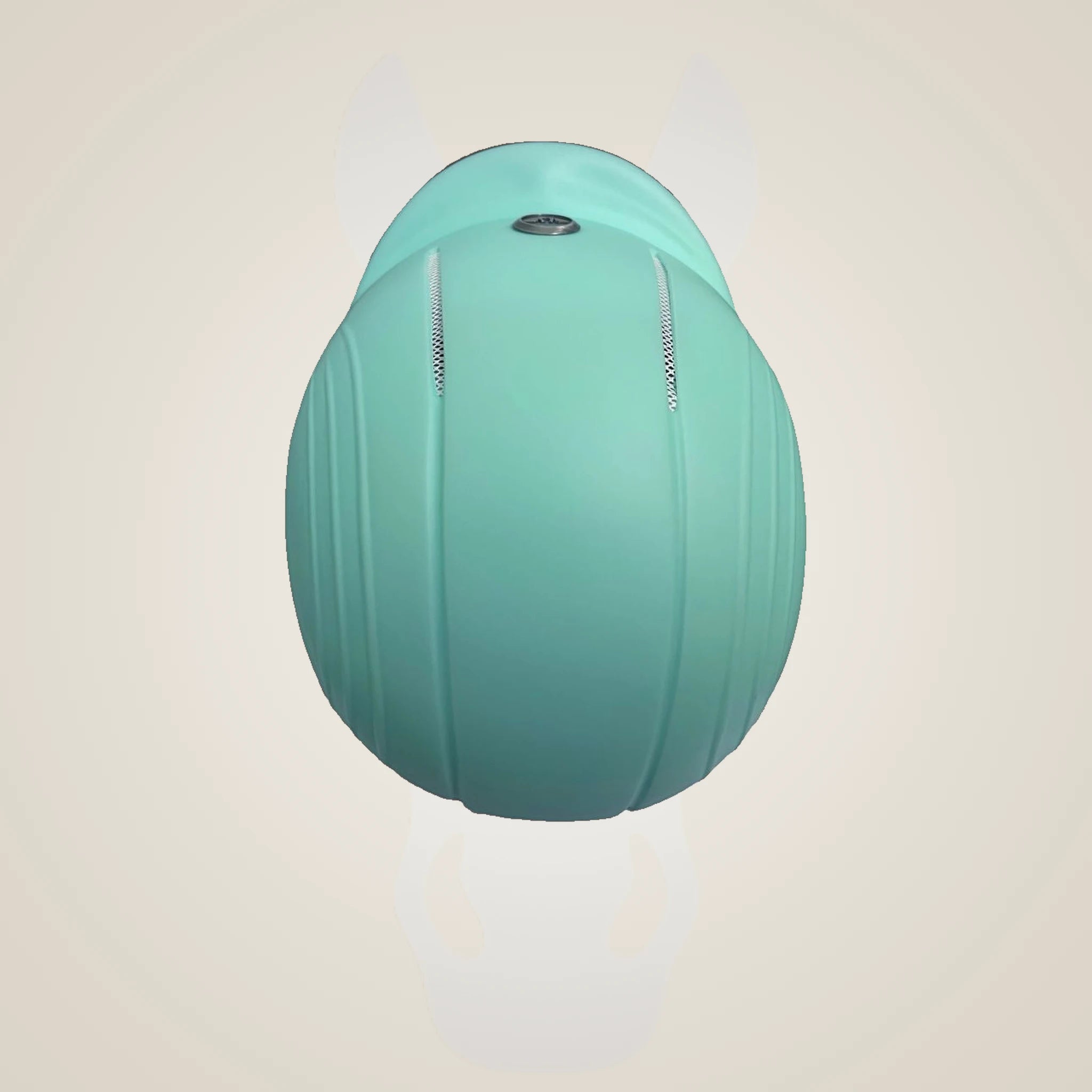TuffRider Starter Basic Helmet