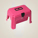 TuffRider Super Grooming Box With Stool - Pink